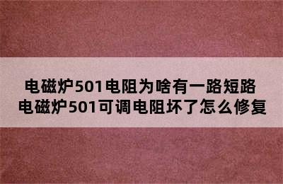 电磁炉501电阻为啥有一路短路 电磁炉501可调电阻坏了怎么修复